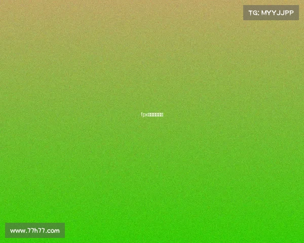 fpx战队小天资料